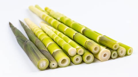 Bambussprossen liegen auf einem Tisch | Aus der Bambusfaser werden auch besonders nachhaltige Tücher zum Putzen hergestellt. (Foto: picture-alliance / Reportdienste, picture alliance / Zoonar | zhang zhiwei)