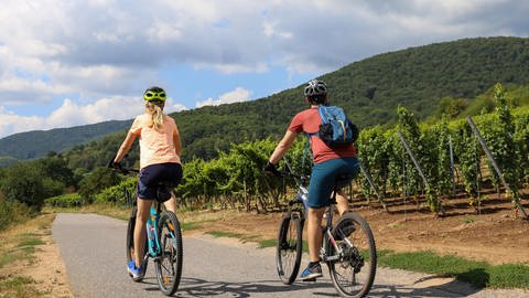 Ein junges Paar bei einer Fahrradtour durch Weinberge | | Darauf sollten Sie beim Kauf von Fahrradhelmen achten