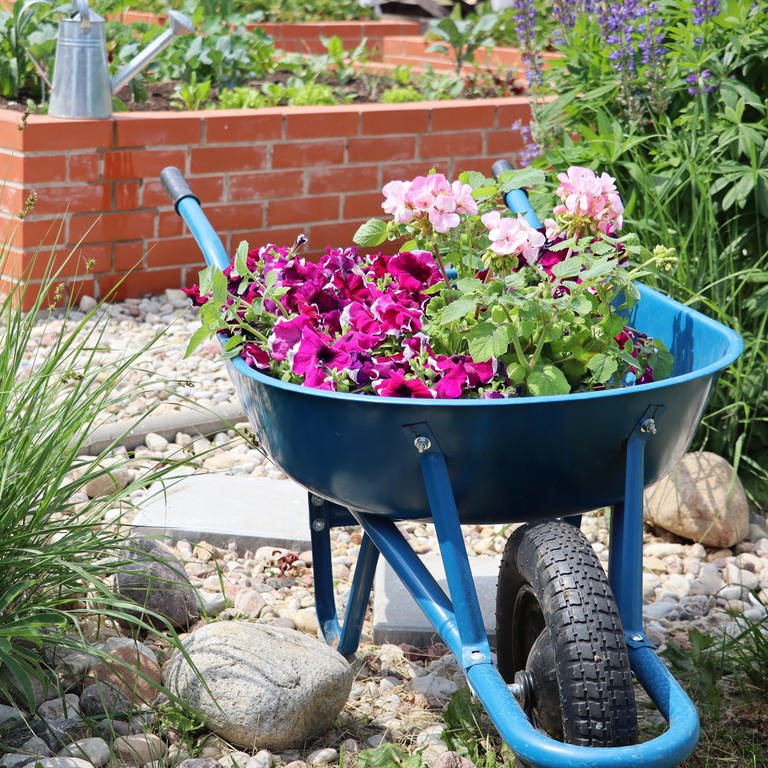Schubkarre mit bunten Blumen im Garten | Bevor die Temperaturen steigen: Jetzt im Garten umpflanzen, Rasen mähen und düngen