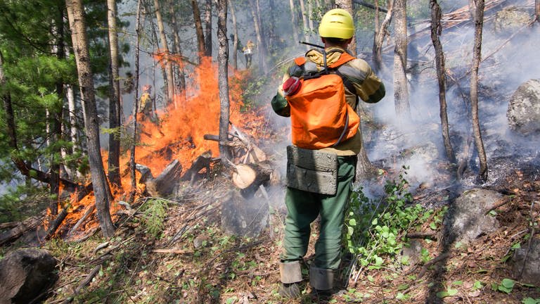 Waldbrand - Feuerwehrmann löscht im Wald