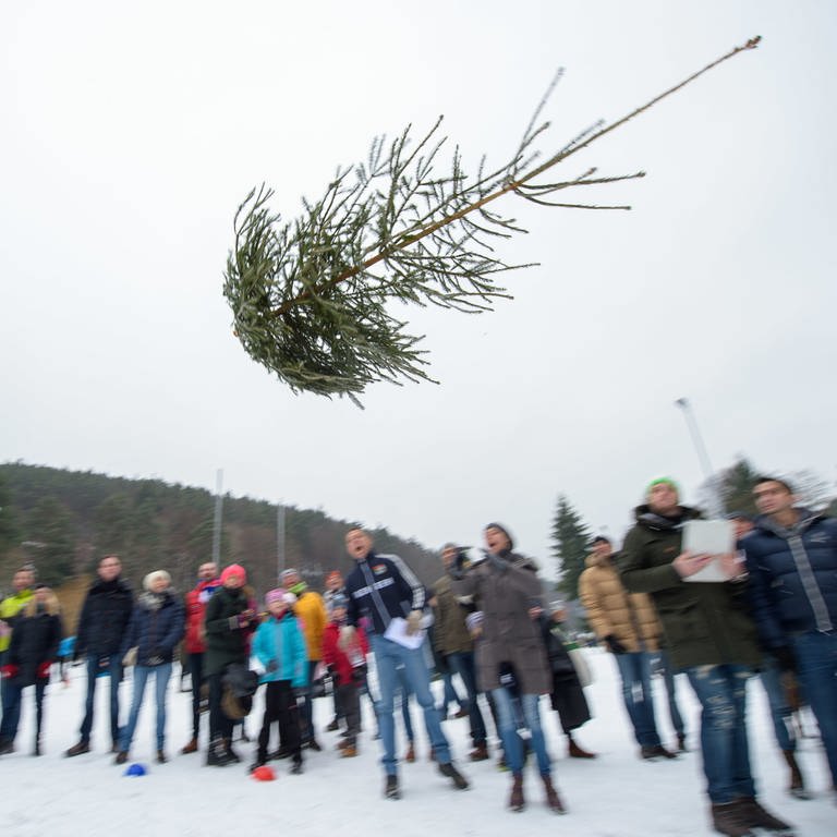 Weidenthal: Comeback für den Weihnachtsbaum - Wettbewerb im Werfen und Schleudern