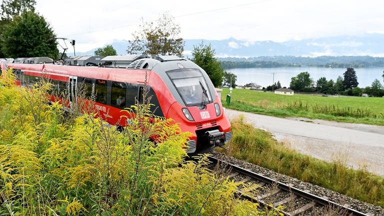 Ein Regionalzug fährt in der Nähe des Ausflugsziels dem Staffelsee vorbei. (Foto: picture-alliance / Reportdienste, Angelika Warmuth)