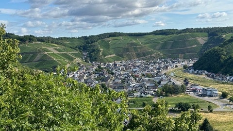 Blick vom Rotweinwanderweg nach Dernau