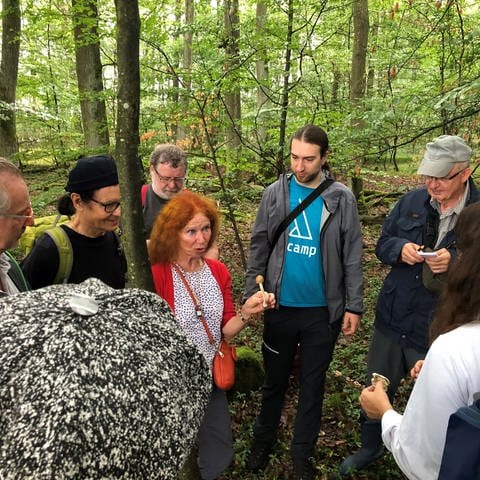 Pilzexkursion mit der Fachgruppe Mykologie vom NABU Rheinauen