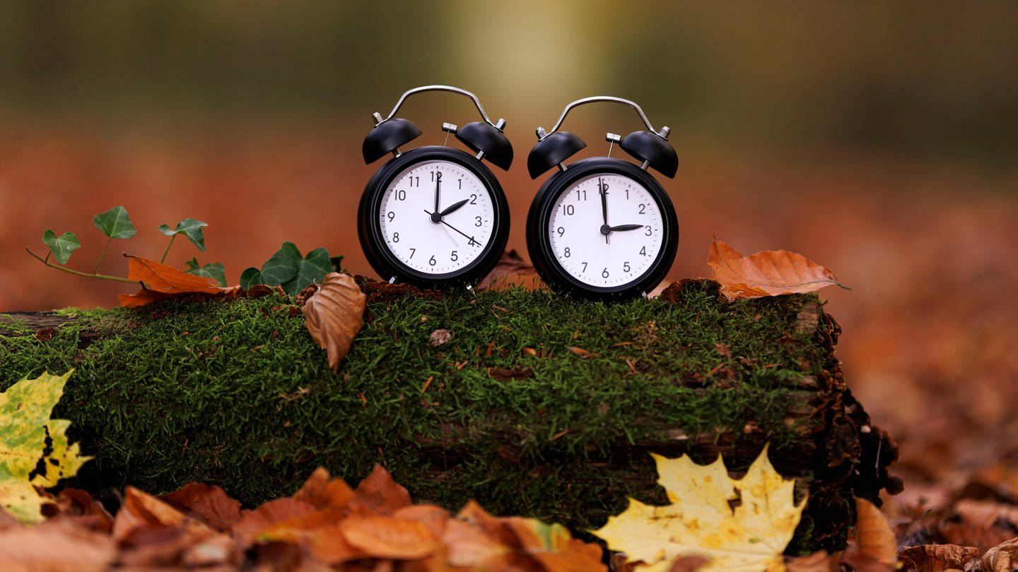 Zwei Wecker mit unterschiedlichen Uhrzeiten, Symbolbild Zeitumstellung auf Winterzeit (Foto: picture-alliance / Reportdienste, Picture Alliance)