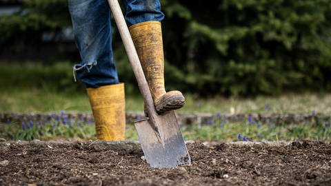 Mit einem geeigneten Spaten können im Garten auch in schweren Böden tiefe Löcher gegraben werden.