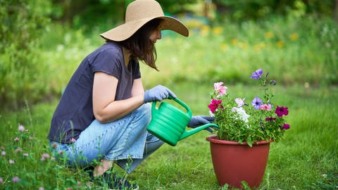 Eine Frau gießt eine Kübelpflanze im Garten