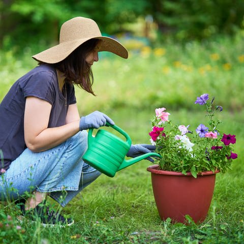 Eine Frau gießt eine Kübelpflanze im Garten