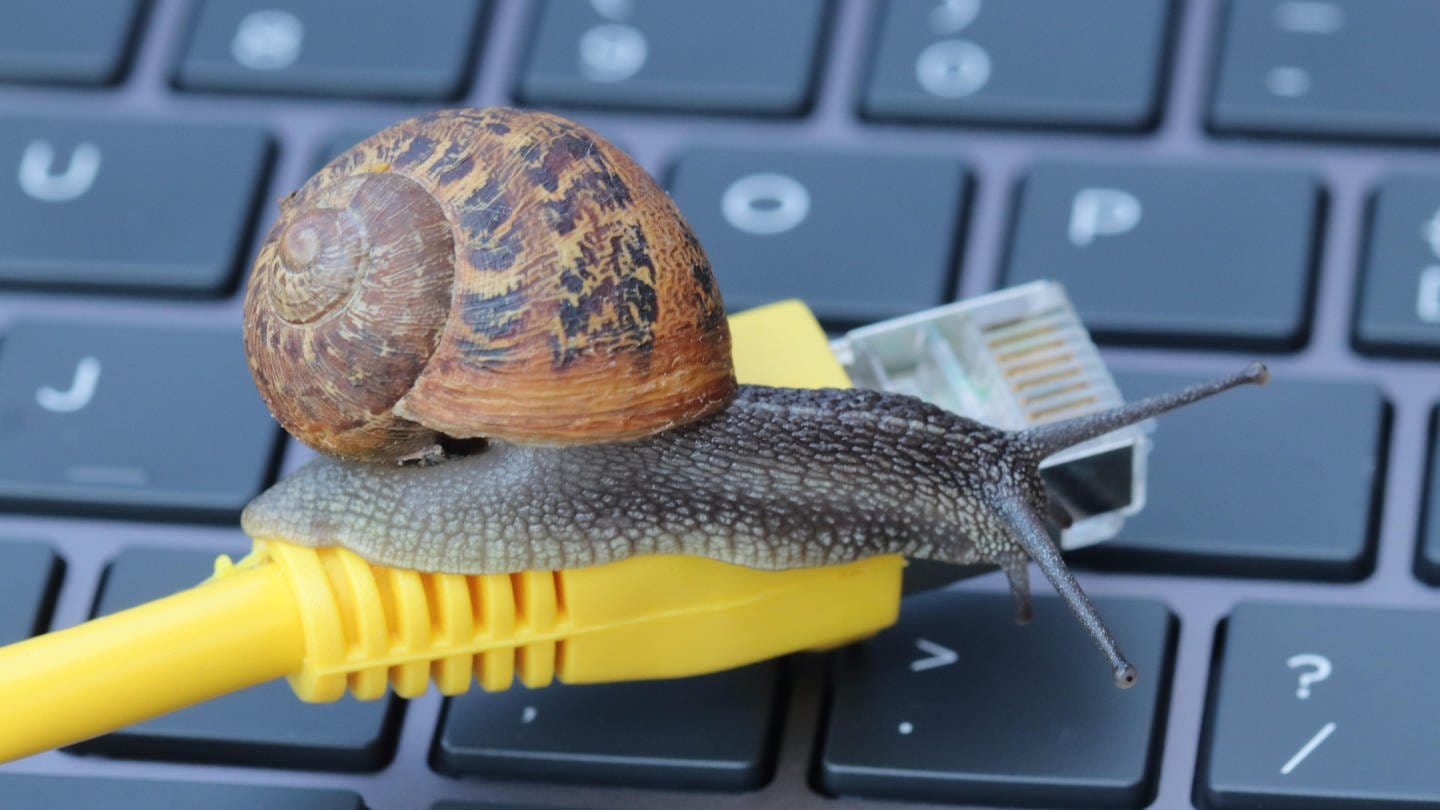 Recht auf Sonderkündigung: Das hilft gegen langsames Internet (Foto: picture-alliance / Reportdienste, picture alliance / CHROMORANGE | Antony Robinson)