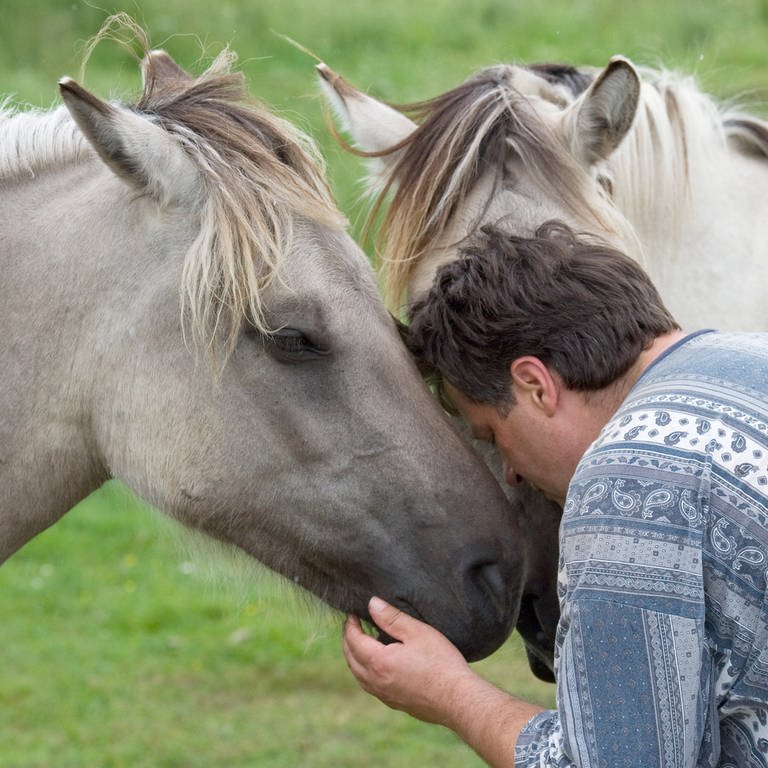 Ein psychisch kranker Mann umarmt zwei Pferde in der Pferdetherapie.  (Foto: picture-alliance / Reportdienste, picture alliance / dpa | Patrick Pleul)