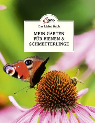 Buchcover: Das kleine Buch: Mein Garten für Bienen & Schmetterlinge von Veronika Schubert (Foto: Servus Verlag)