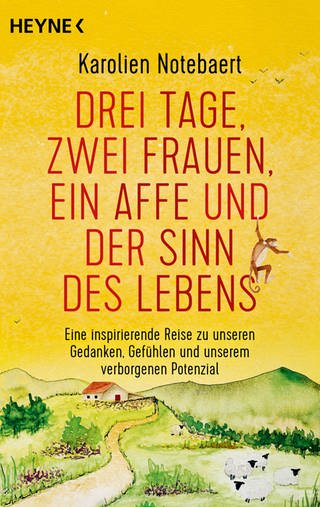 Buchcover: Drei Tage, zwei Frauen, ein Affe und der Sinn des Lebens von Karolien Notebaert (Foto: Heyne Verlag)