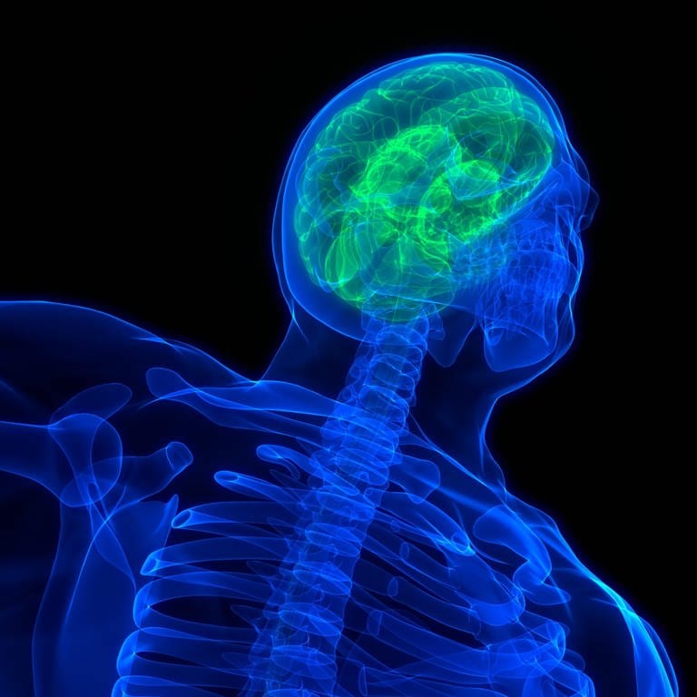 Computergrafik eines Gehirns im menschlichen Körper zum Thema Neurowissenschaft - ein gelb-grünes 3D-Bild des Gehirns erscheint im transparent-blauen Bild von Oberkörper und Kopf (Foto: picture-alliance / Reportdienste, picture alliance / Zoonar | magicmine)