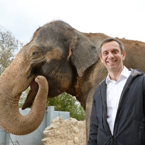 Die Wilhelma, Zoo und botanischer Garten in Stuttgart: Direktor Thomas Kölpin spricht in SWR1 Leute über seine Leidenschaft für Elefanten und Schlangen und seine Zukunftspläne