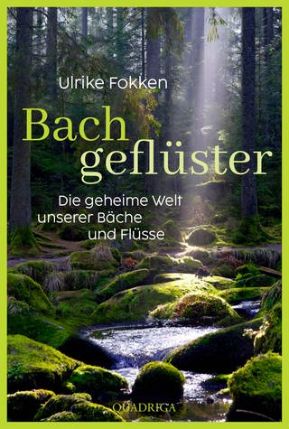 Buchcover: Bachgeflüster von Ulrike Fokken (Foto: Quadriga Verlag)