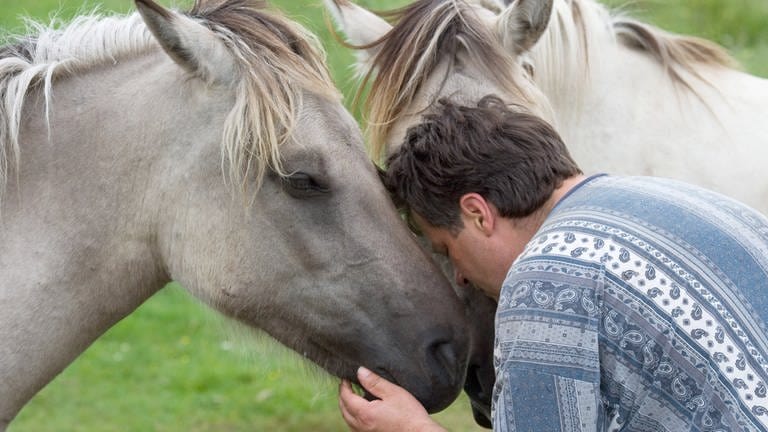 Ein psychisch kranker Mann umarmt zwei Pferde in der Pferdetherapie. 