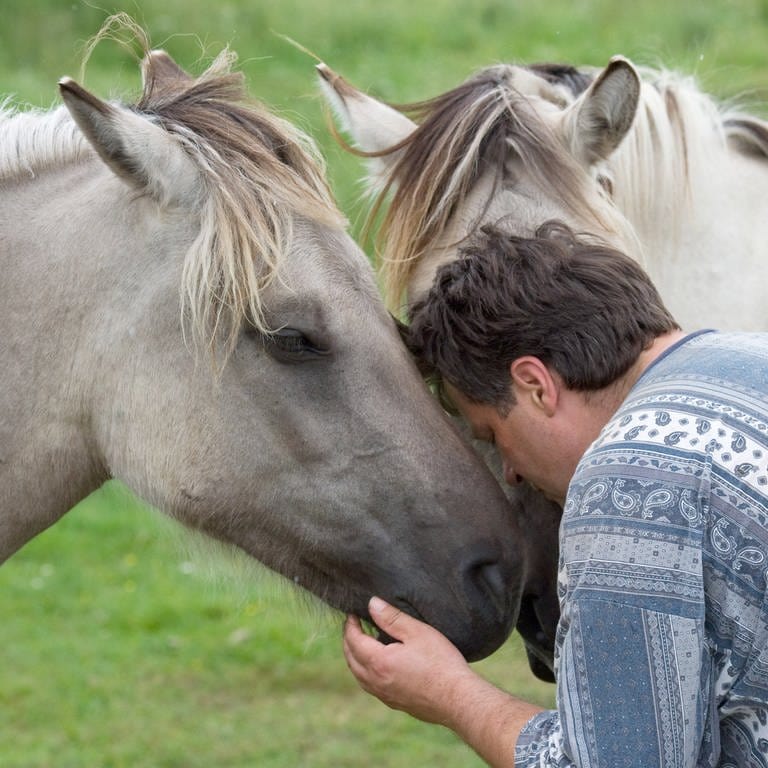 Ein psychisch kranker Mann umarmt zwei Pferde in der Pferdetherapie. 