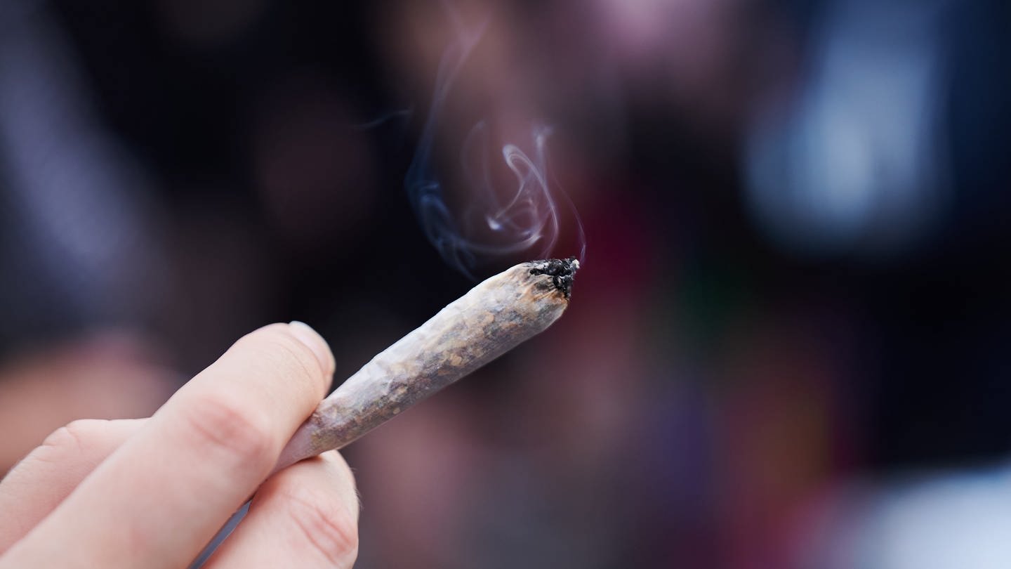 Benedikt Fischer spricht in SWR1 Leute über die Erfahrungen einer Legalisierung von Cannabis in Kanada. Was bedeutet das für Deutschland. Kritiker sorgen sich um Abhängigkeit, wenn Weed bzw. Gras und Cannabispflanzen legal werden. (Foto: dpa Bildfunk, picture alliance/dpa | Annette Riedl)