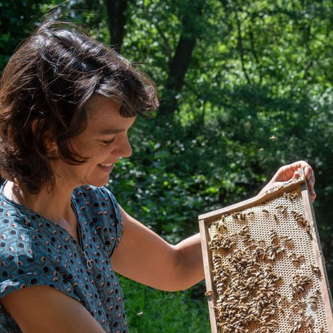 Bienen sind wichtig für die Biodiversität und die Ernährungssicherheit. Aber sie sind vom Aussterben bedroht. Darüber spricht die Bienenforscherin Kirsten Traynor in SWR1 Leute. (Foto: privat)