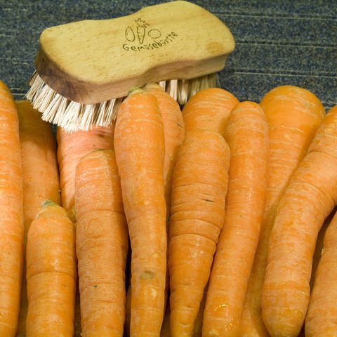 Gemüsebürste und Karotten (Foto: IMAGO, imagebroker/theissen)
