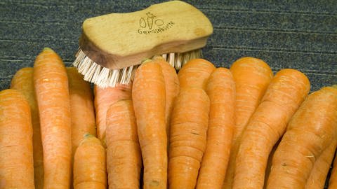 Gemüsebürste und Karotten (Foto: IMAGO, imagebroker/theissen)