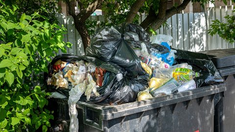 überfüllter Müllcontainer (Foto: picture-alliance / Reportdienste, picture alliance | Karl-Heinz Spremberg)