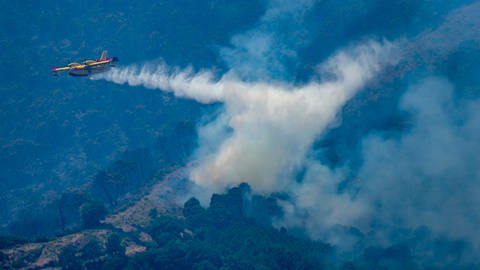 Ein Löschflugzeug wird bei der Bekämpfung eines Waldbrandes in Spanien (Foto: picture-alliance / Reportdienste, picture alliance/dpa/EUROPA PRESS | Álex Zea)