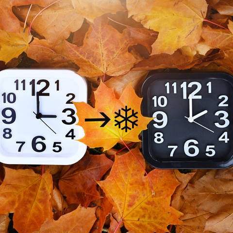Zwei Uhren auf Herbstblättern, Symbolfoto für die Umstellung auf Winterzeit (Foto: IMAGO, IMAGO / Christian Ohde)