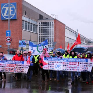 Mitarbeiter des Autozulieferers ZF bei einem Protestmarsch (Foto: picture-alliance / Reportdienste, dpa Bildfunk, picture alliance/dpa/ZF-Gesamtbetriebsrat | Gunnar M. Flotow)