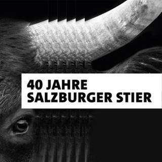 Schwarzer Kopf eines Stieres und der Schriftzug "40 Jahre Salzburger Stier" (Foto: SWR)
