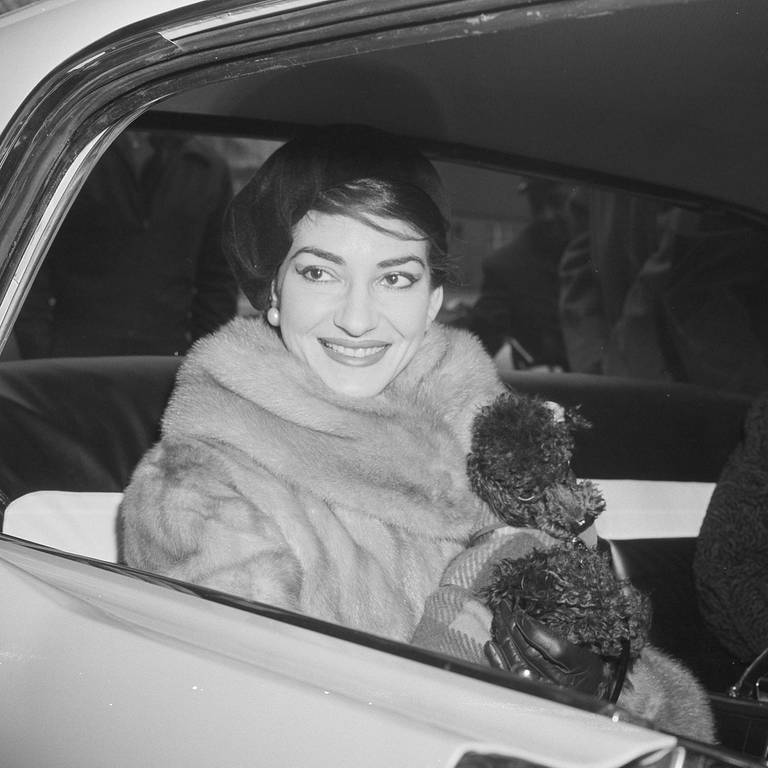Eine lächelnde Maria Callas im Auto mit ihrem Pudel „Toy“ (Foto: picture-alliance / Reportdienste, picture alliance / ASSOCIATED PRESS | Charles Knoblock)