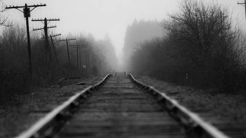 Bahnschienen im Nebel (Foto: Unsplash/Dimitri Bong)