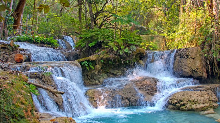 Wasserfall im Dschungel (Foto: Colourbox)