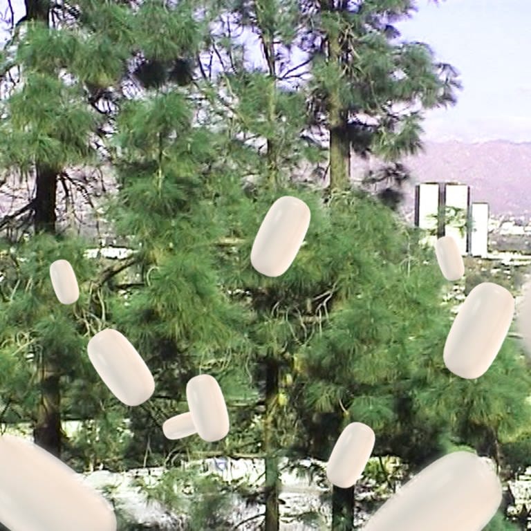 Park mit fliegenden weißen tic tacs (Foto: Tanita Olbrich)