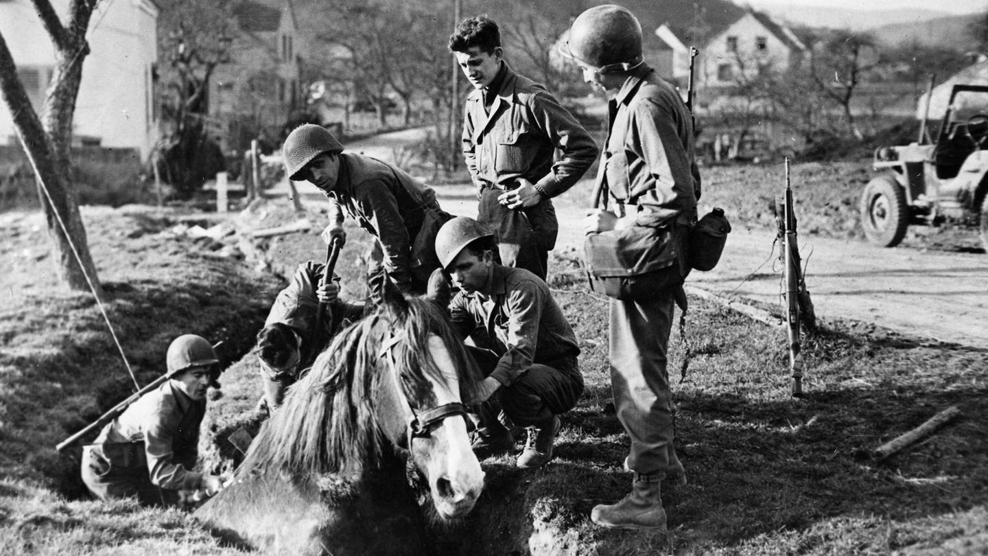 Infanteristen der dritten US-Armee befreien ein Pferd, dass in einen Graben gefallen war. (Foto: IMAGO, Leemage)
