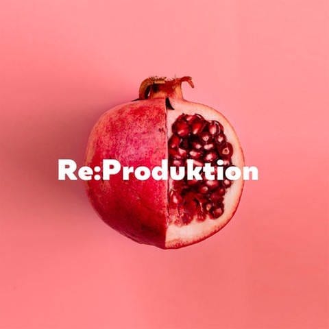 ein aufgeschnittener Granatapfel - Illustration zur Hörspiel-Serie "Re:Produktion" (Foto: shutterstock/Zamurovic Brothers)