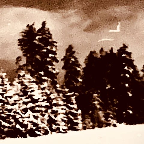 Oberpfalz früher mit Bäumen und mit Schnee (Foto: Werner Fritsch Filmproduktion)