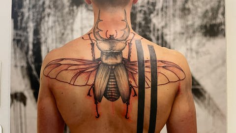Insekten (Foto: SWR, Martina Senghas)