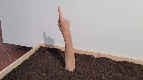 Arm aus Erde: Skulptur des Schweizer Künstlers Leopold Rabus (Foto: SWR, Rainer Schlenz)