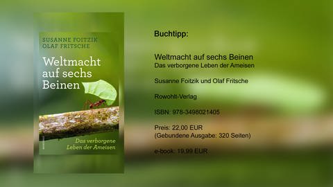Buchtitel: Weltmacht auf sechs Beinen:  Das verborgene Leben der Ameisen  Susanne Foitzik und Olaf Fritsche (Foto: Rowohlt-Verlag)