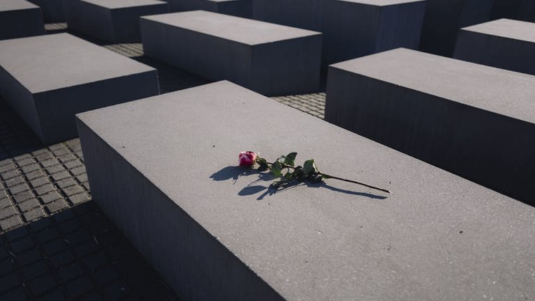 Rote Rose auf dem Holocaust-Mahnmal in Berlin (Foto: picture-alliance / Reportdienste, Jan Scheunert / ZUMA Wire)