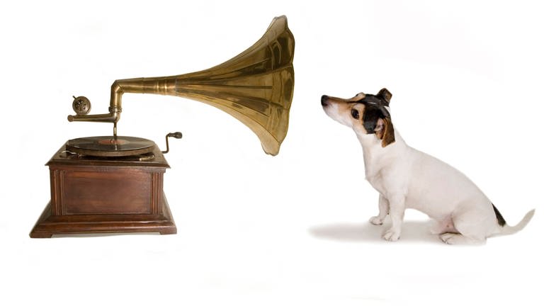 Jack Russell mit Grammophon, Parodie auf His Masters voice (Foto: imago images, imago images / imagebroker)