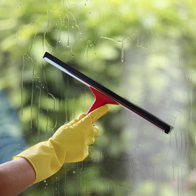 Fensterreinigung beim Frühjahrsputz (Foto: IMAGO, PPE)