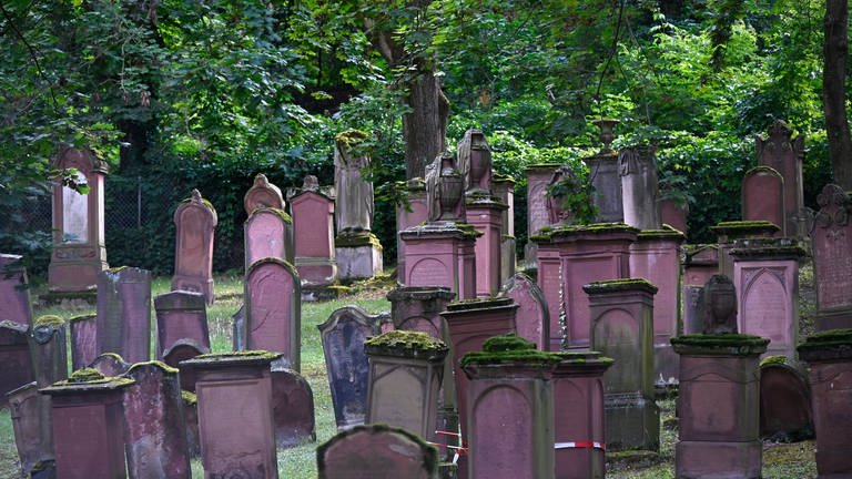 Jüdischer Friedhof Mainz (Foto: IMAGO, IMAGO / epd)