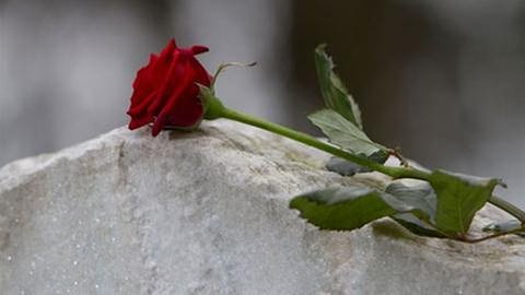 Rose auf einem Grabstein (Foto: Getty Images, Thinkstock -)