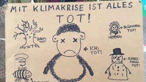 Plakat: Klimaangst, Klimadepression? Psychologist for Future unterstützen Klimaaktivisten.  (Foto: Pressestelle, Margitta Freund)