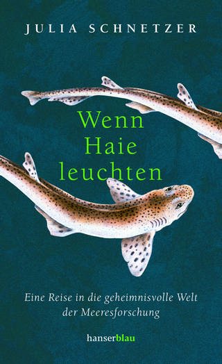 Julia Schnetzer, Wenn Haie leuchten. Eine Reise in die geheimnisvolle Welt der Meeresforschung (Foto: ©2021 Carl Hanser Verlag GmbH & Co. KG, München)