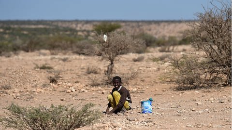 Dürre in Somaliland (Foto: picture-alliance / Reportdienste, picture alliance / empics | Joe Giddens)