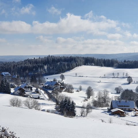 Die Ferienregion Hochschwarzwald am Feldberg (Foto: Pressestelle, Thomas Kruchem (Nur für SWR2 Leben verwenden))