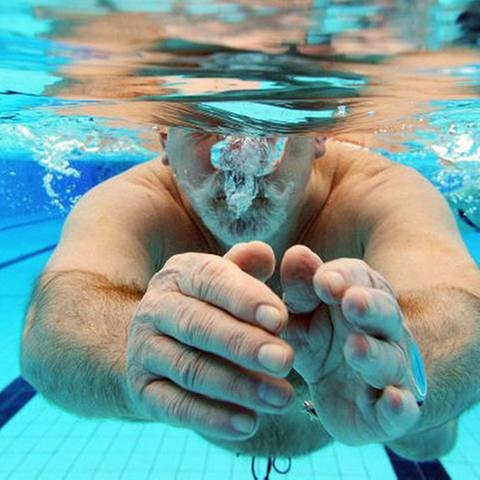 Schwimmer im Hallenbad unter Wasser (Foto: picture-alliance / dpa, picture-alliance / dpa -)